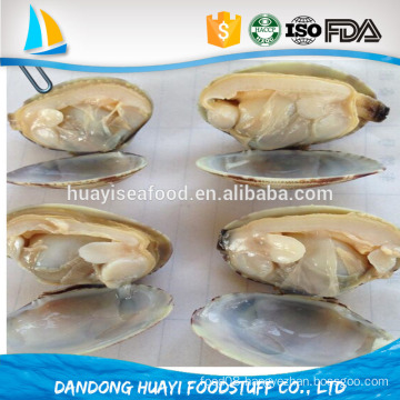 rush to purchase 2016 best season short necked clam in shell/baby clam with shell
